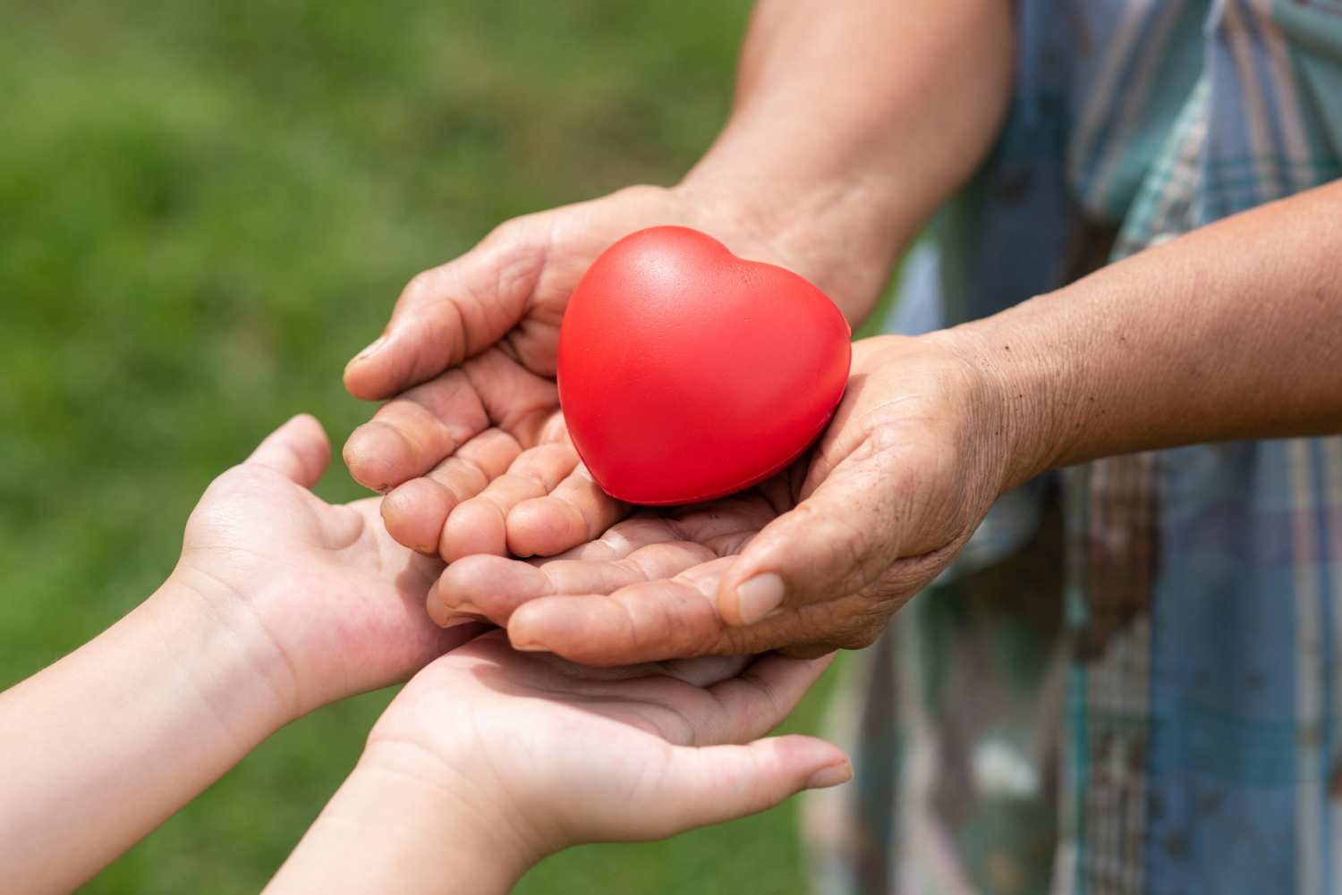 Providing professional care