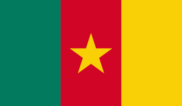 UK to Cameroon £5,275